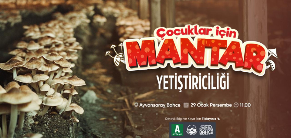 Mantar Yetiştiriciliği Atölyesi Mantar Yetiştiriciliği Atölyesi
