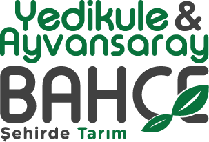 Yedikule Bahçe