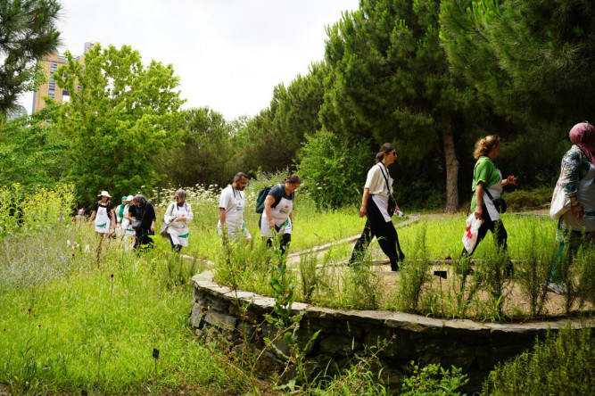 Yeşil Rota ile Tematik Bahçelere Yolculuk: Ayvansaray Bahçe'den Nezahat Gökyiğit Botanik Bahçesi'ne