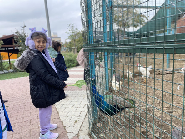 Ara Tatil Yedikule & Ayvansaray Bahçe'de: Çocuklarımız Doğayla İç İçe