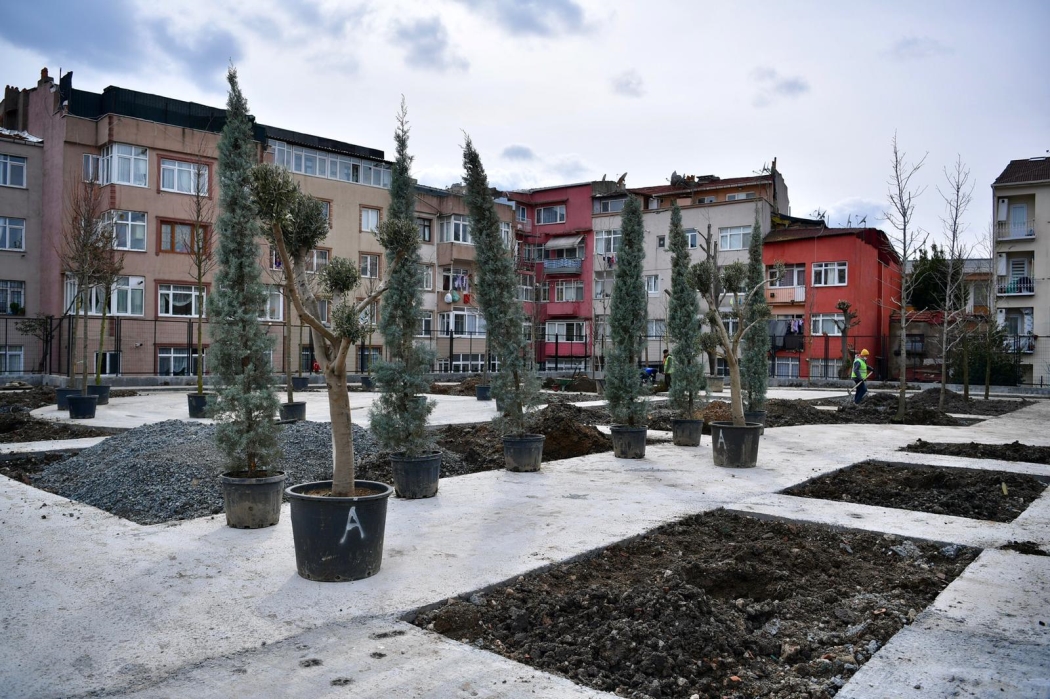 Daha Yeşil Bir Fatih İçin Yeni Ağaçlar Dikildi haberi