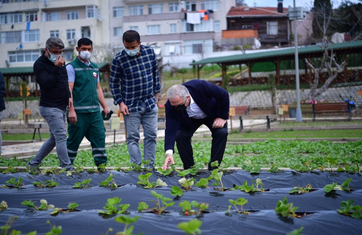 Şehirde Tarımın Merkezi Yedikule Bahçe