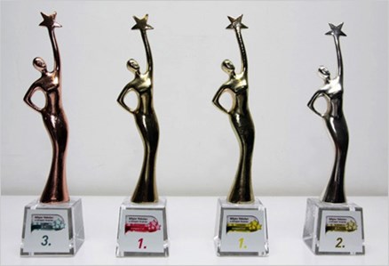 Fatih Municipality Received 4 Awards on Informatics