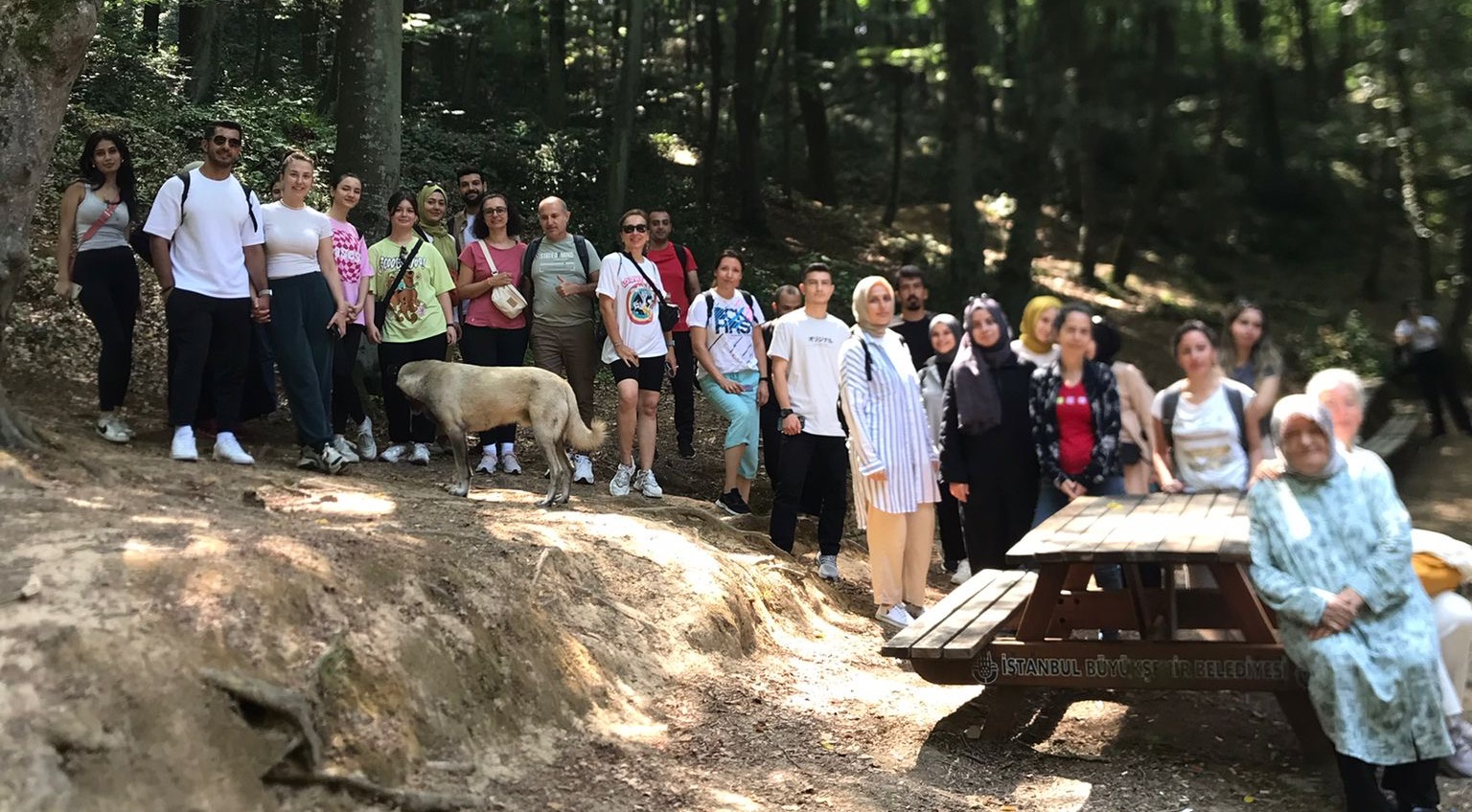 Vatandaşlar FitFatih in Belgrad Ormanı nda Düzenlediği Trekking Etkinliğinde Buluşuyor