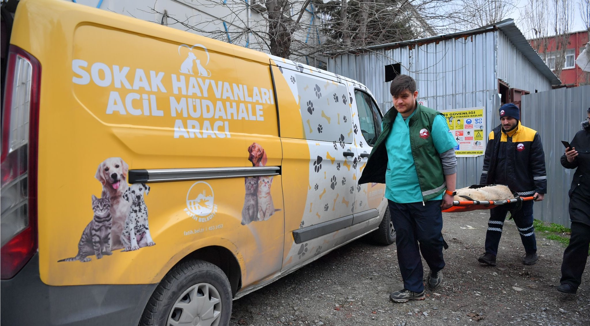 Minik Dostlarımıza Medikal Destek: Fatih Belediyesi nden Yerinde Sağlık Müdahalesi