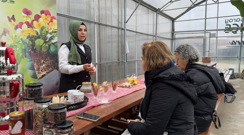 Ayvansaray Bahçe den Adaçayı Hasadı: Kışa Sağlıklı Bir Hazırlık