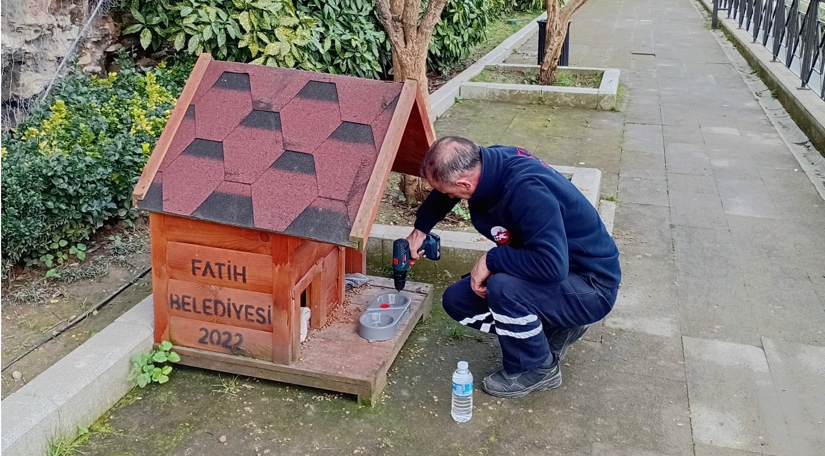 Fatih Belediyesi Minik Dostlarımız İçin Yeni Beslenme Noktaları Oluşturuyor