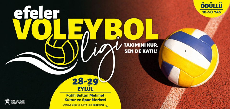 Efeler Voleybol Ligi 