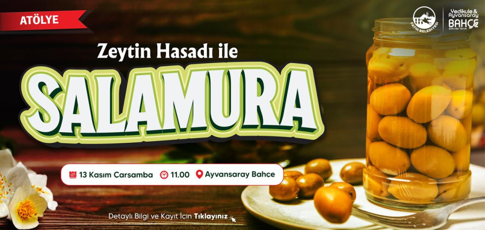 Zeytin Hasadı İle Salamura