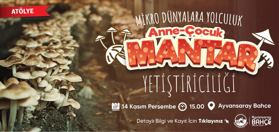 Anne-Çocuk Mantar Yetiştiriciliği