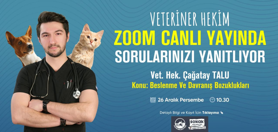 Veteriner Hekim Sorularınızı Yanıtlıyor