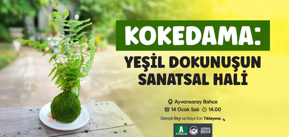 Kokedama: Yeşil Dokunuşun Sanatsal Hali