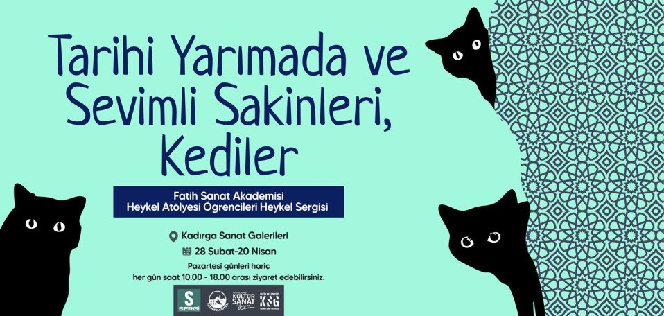 Tarihi Yarımada ve Sevimli Sakinleri, Kediler