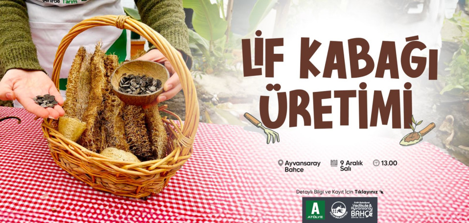 Lif Kabağı Üretimi Lif Kabağı Üretimi