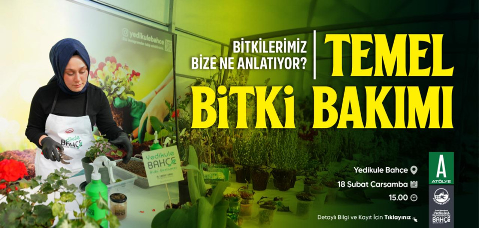 Bahçede Temel Bitki Bakımı Bahçede Temel Bitki Bakımı