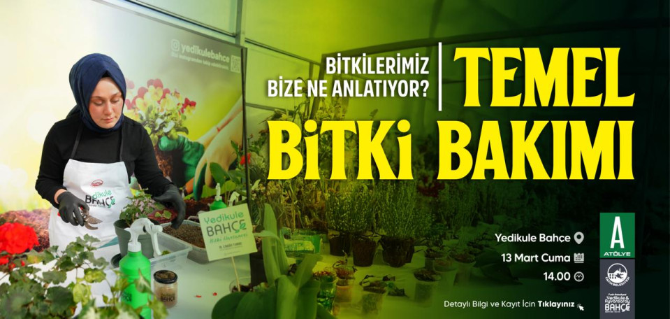 Temel Bitki Bakımı Temel Bitki Bakımı