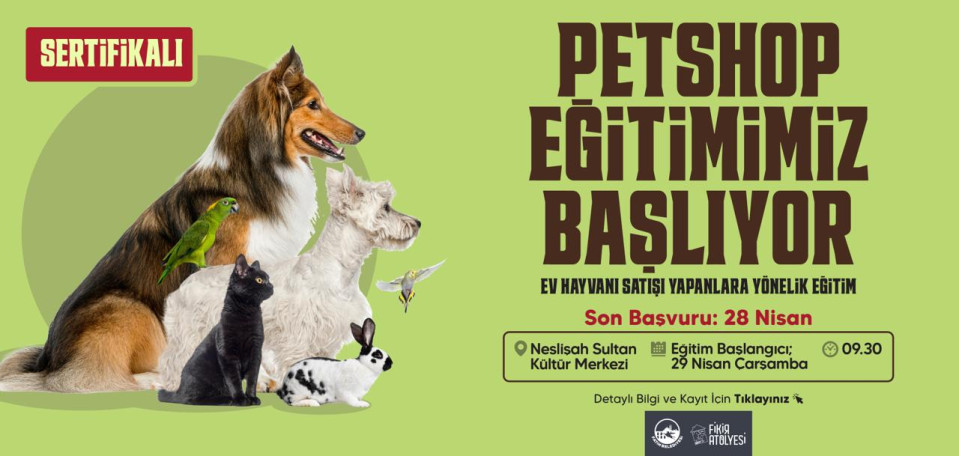 Petshop Eğitimlerimiz Başlıyor Petshop Eğitimlerimiz Başlıyor