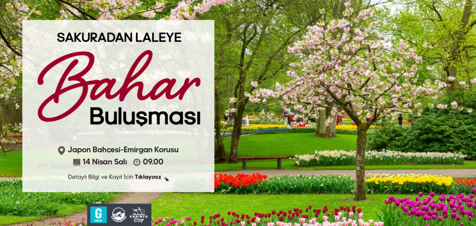 Sakuradan Laleye Bahar Buluşması Sakuradan Laleye Bahar Buluşması