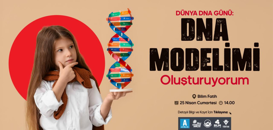 DNA Modelimi Oluşturuyorum DNA Modelimi Oluşturuyorum