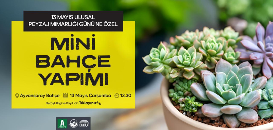 Mini Bahçe Yapımı Mini Bahçe Yapımı