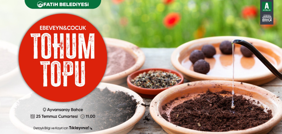 Ebeveyn-Çocuk Tohum Topu Ebeveyn-Çocuk Tohum Topu